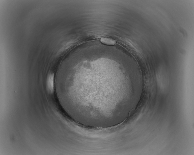 X0000112090028200908181313