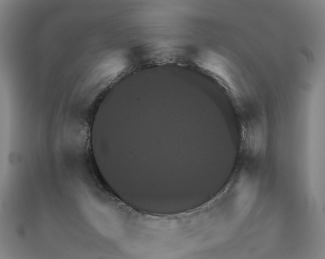 X0000112090029200908181313