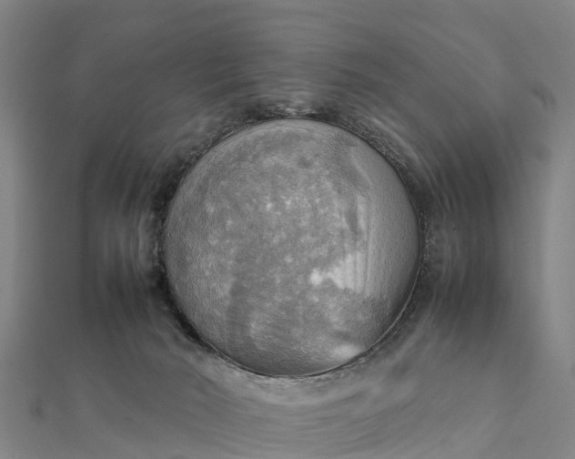 X0000112090030200908181313