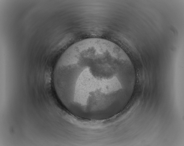 X0000112090032200908181313