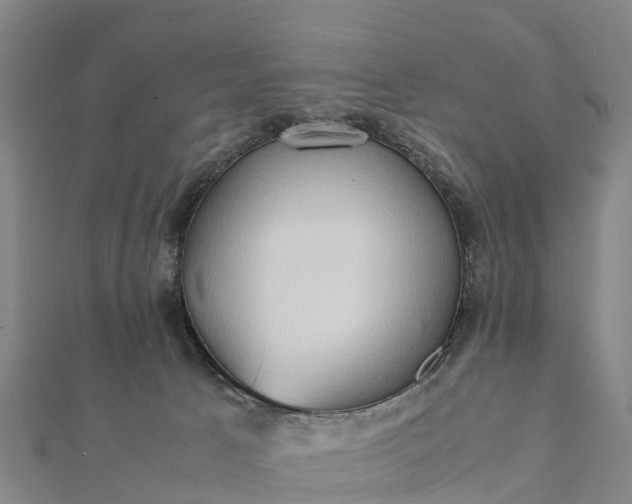 X0000112090033200908181313