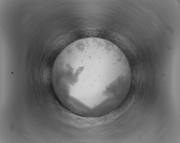 X0000112090034200908181313