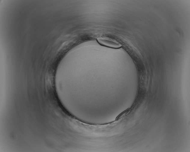 X0000112090035200908181313