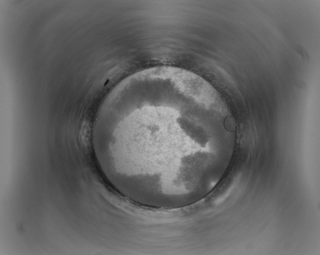 X0000112090036200908181313