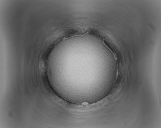 X0000112090037200908181313