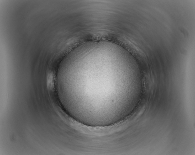 X0000112090038200908181313