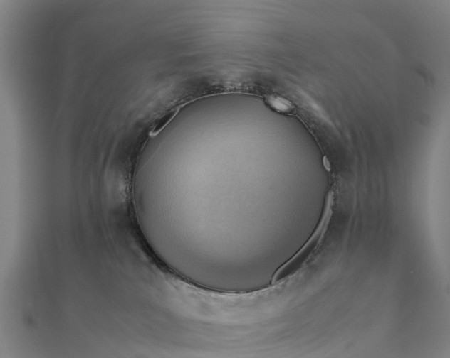 X0000112090039200908181313