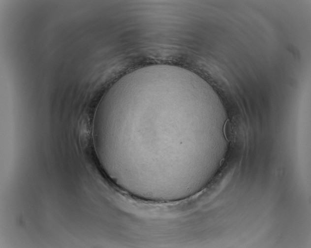 X0000112090040200908181313