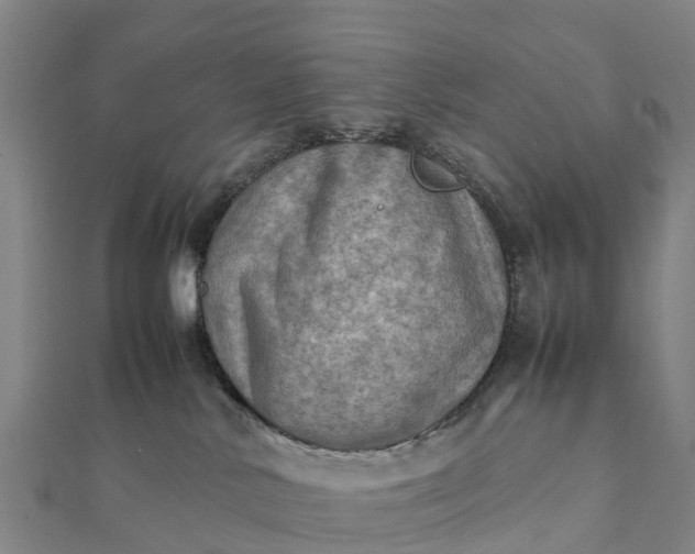 X0000112090042200908181313