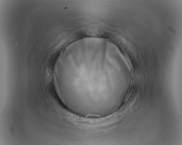 X0000112090043200908181313