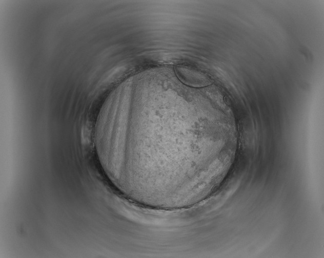 X0000112090044200908181313