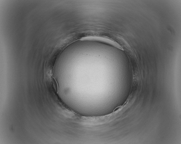 X0000112090045200908181313