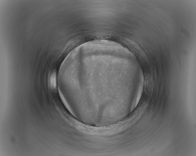 X0000112090046200908181313