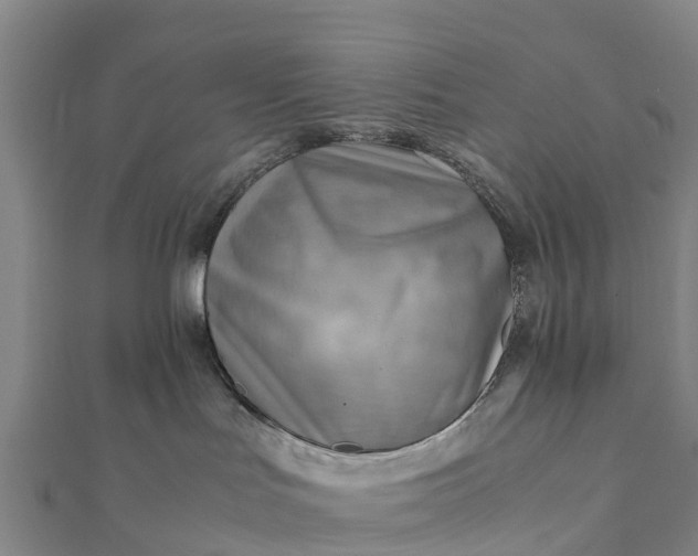 X0000112090047200908181313