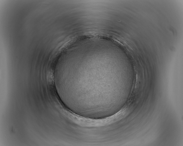 X0000112090048200908181313