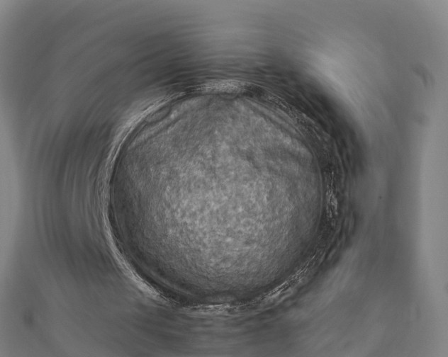 X0000112090049200908181312