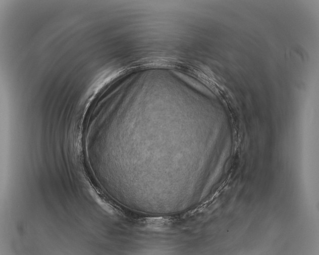 X0000112090050200908181312