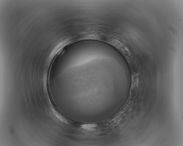 X0000112090051200908181312