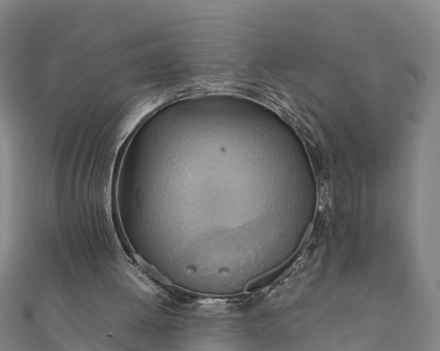 X0000112090052200908181312