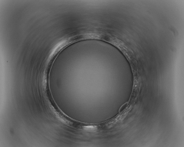 X0000112090053200908181312