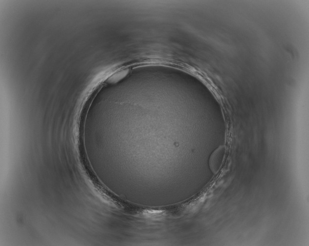 X0000112090055200908181312