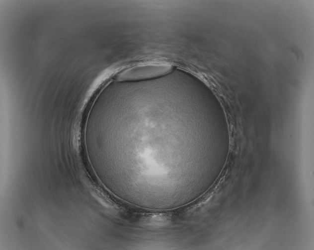 X0000112090056200908181312