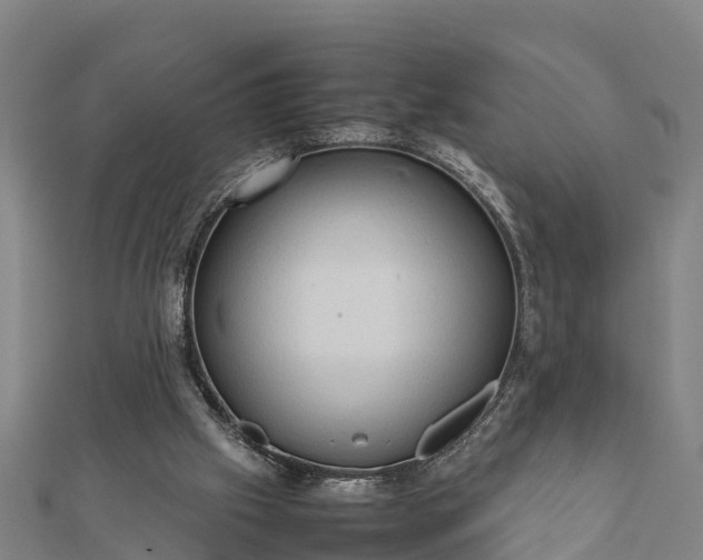 X0000112090057200908181312