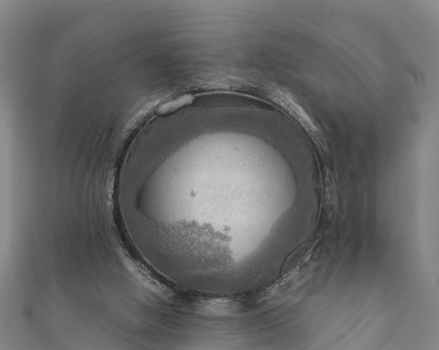 X0000112090058200908181312