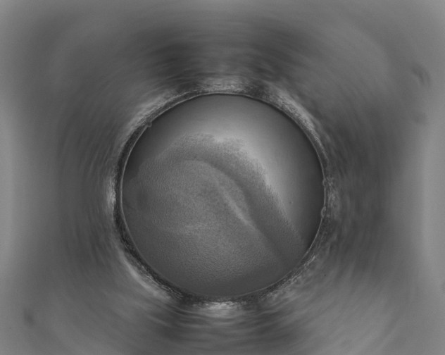 X0000112090059200908181312