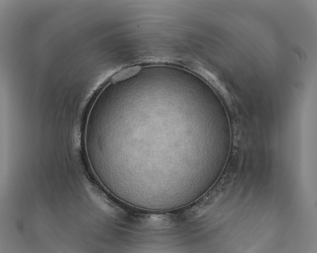 X0000112090060200908181312