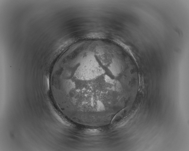 X0000112090061200908181312