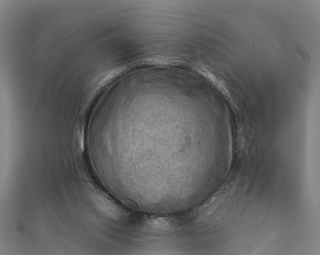 X0000112090062200908181312