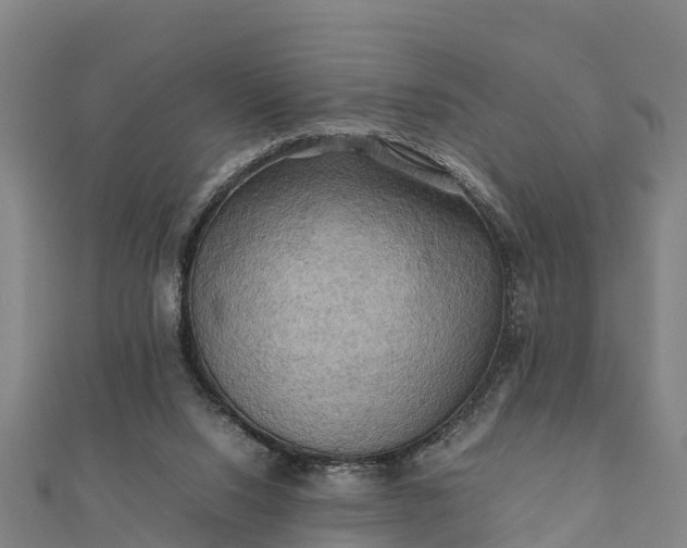 X0000112090064200908181312