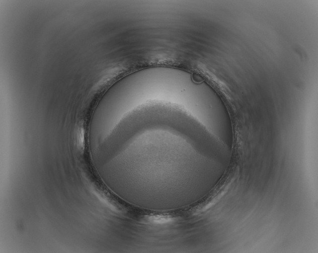 X0000112090067200908181312