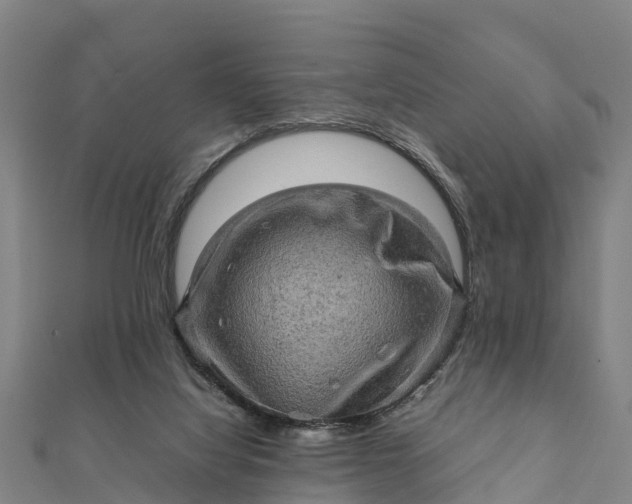 X0000112090068200908181312