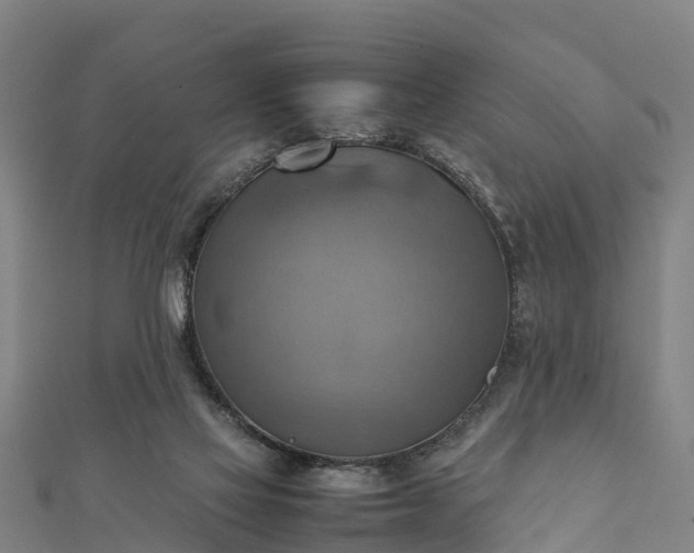 X0000112090069200908181312