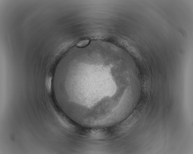 X0000112090070200908181312