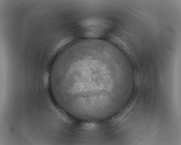 X0000112090071200908181312