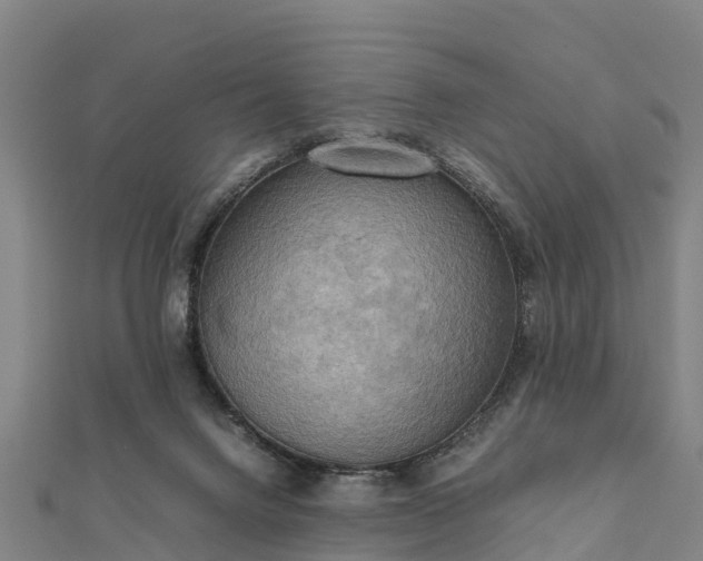 X0000112090072200908181312