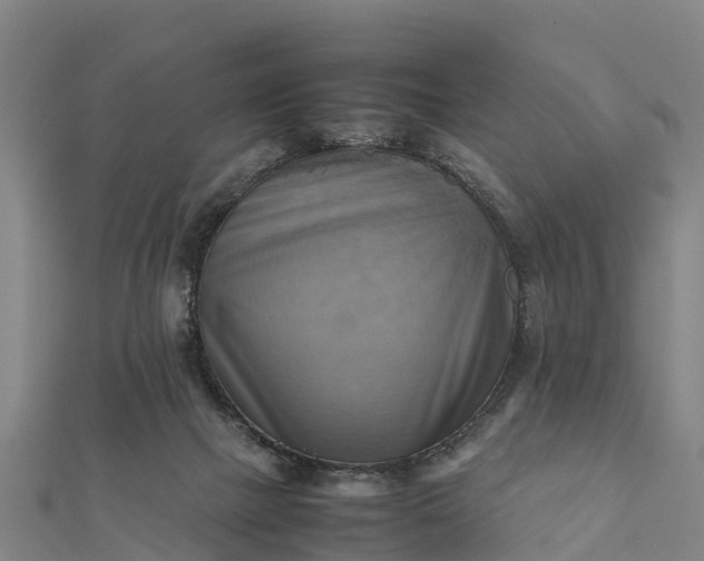 X0000112090073200908181312