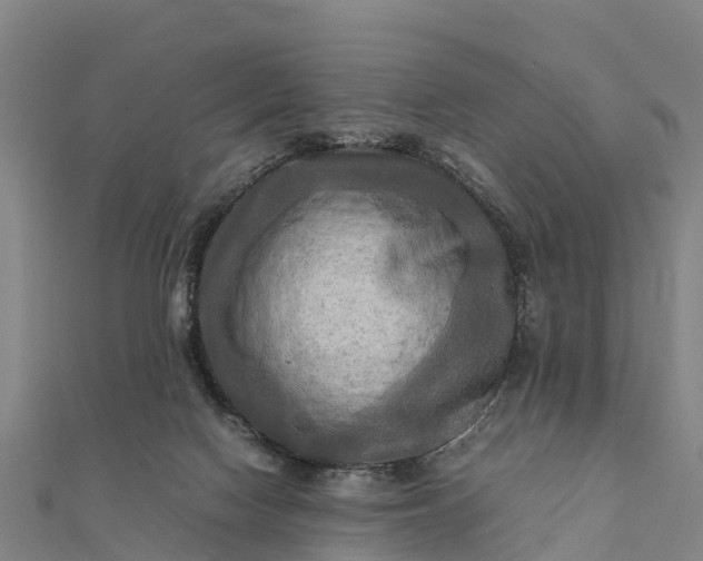 X0000112090074200908181312