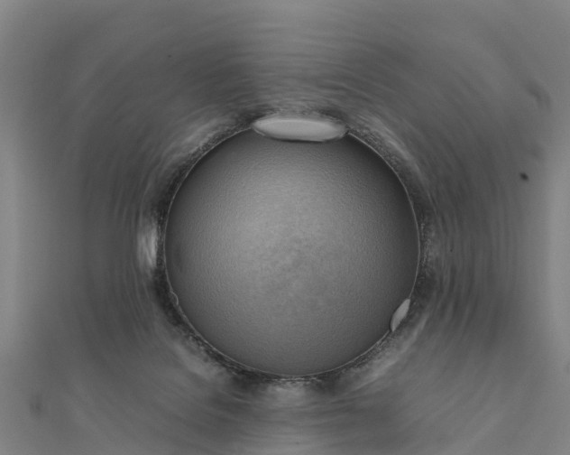 X0000112090076200908181312