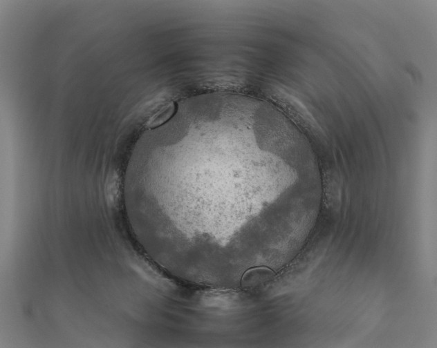 X0000112090077200908181312