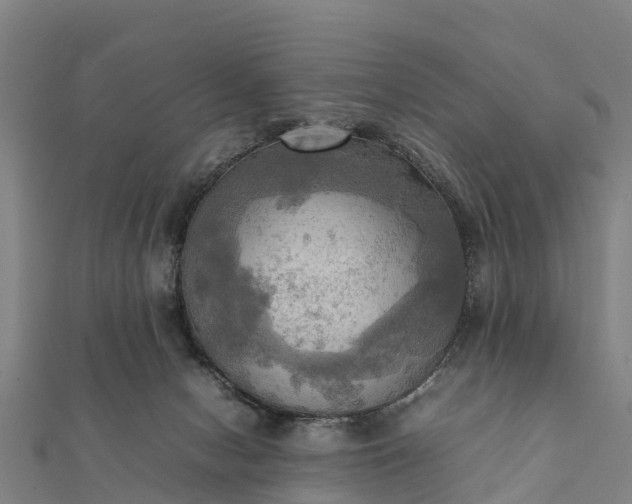 X0000112090078200908181312