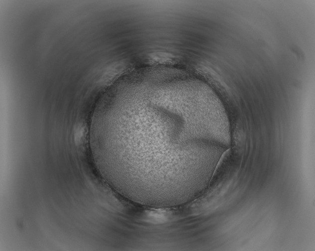 X0000112090079200908181312