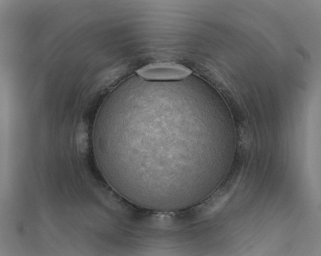 X0000112090080200908181312