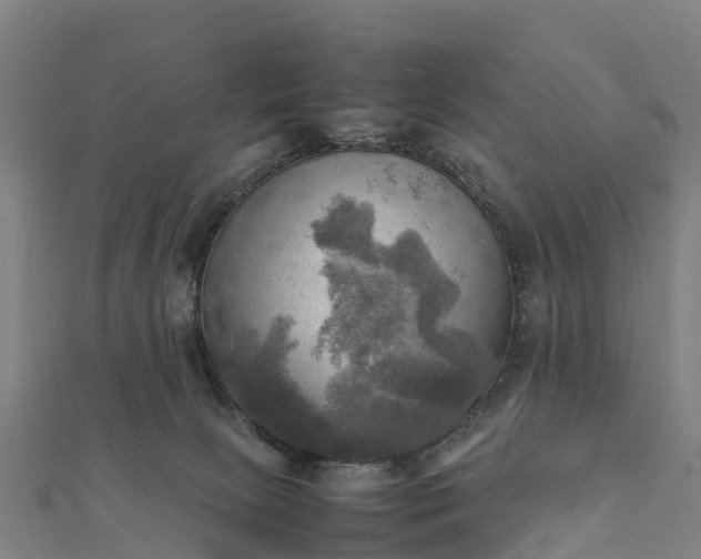 X0000112090081200908181312