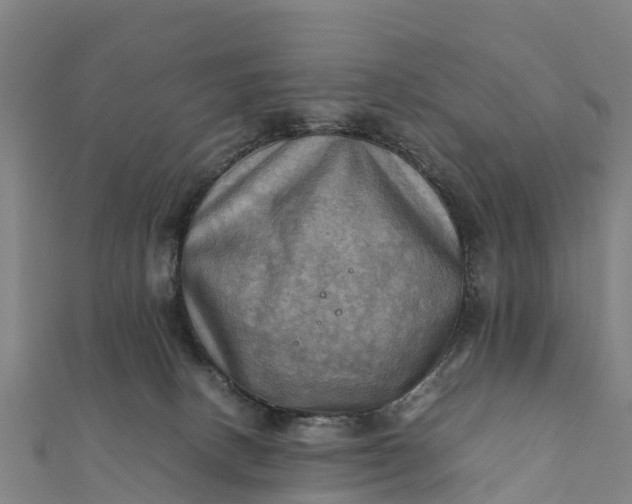 X0000112090082200908181312