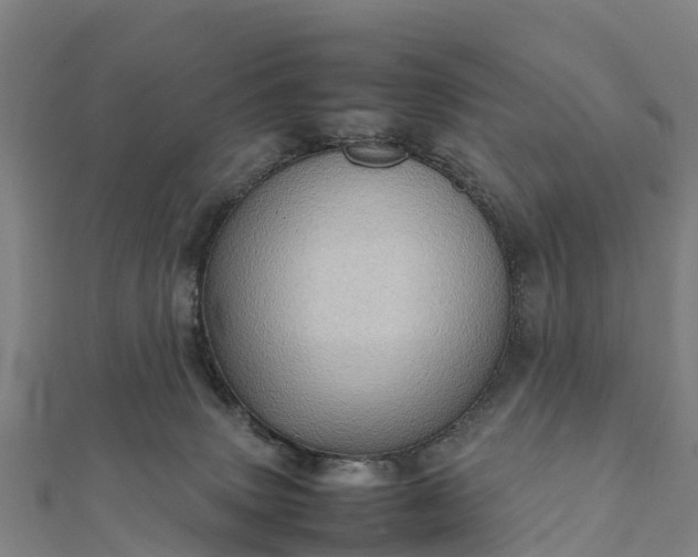 X0000112090083200908181312