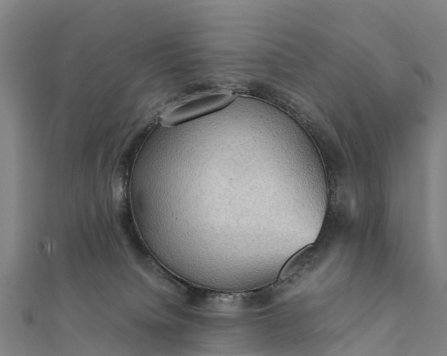 X0000112090084200908181312